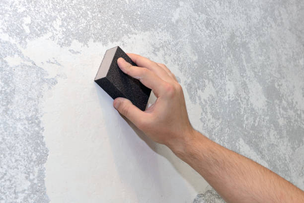 Best Black Mold Removal  in Miami Gardens, FL