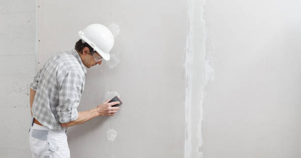 Best Real Estate Mold Inspection  in Miami Gardens, FL