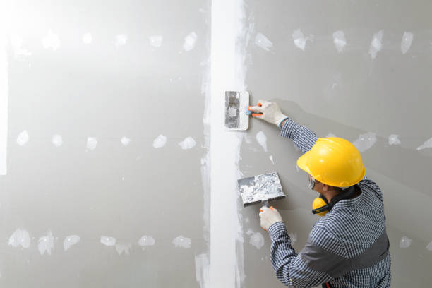 Best Comprehensive Air Testing for Mold Contaminants  in Miami Gardens, FL