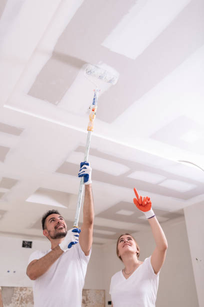 Best Mold Damage Restoration  in Miami Gardens, FL