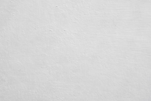 Mold Odor Removal Services in Miami Gardens, FL
