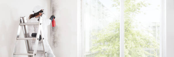 Best Mold-Related Health Consultation  in Miami Gardens, FL