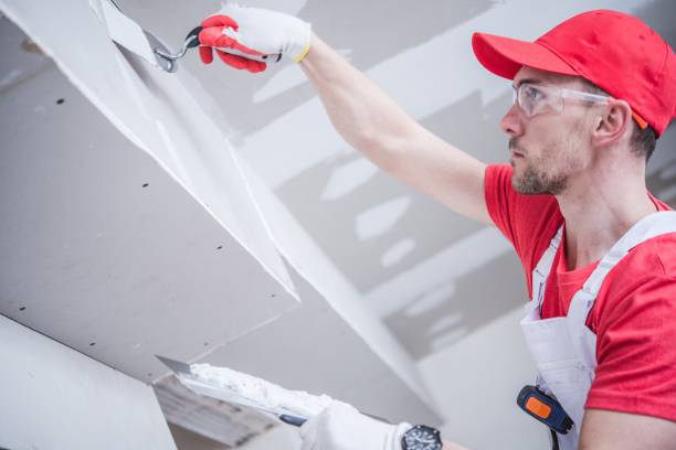 Best Attic Mold Removal  in Miami Gardens, FL